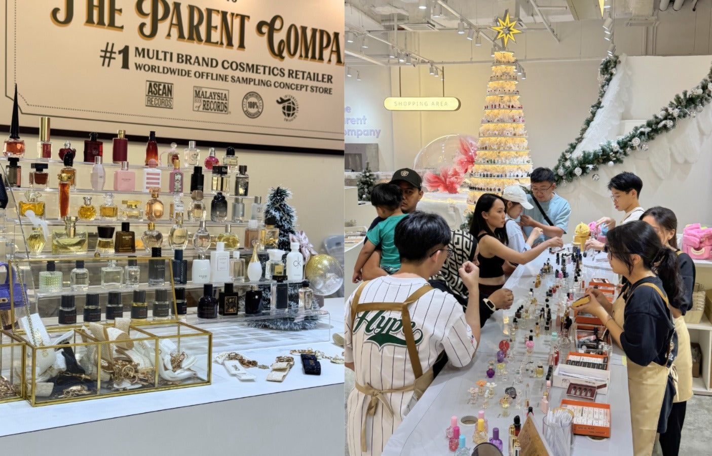 The Parent Company