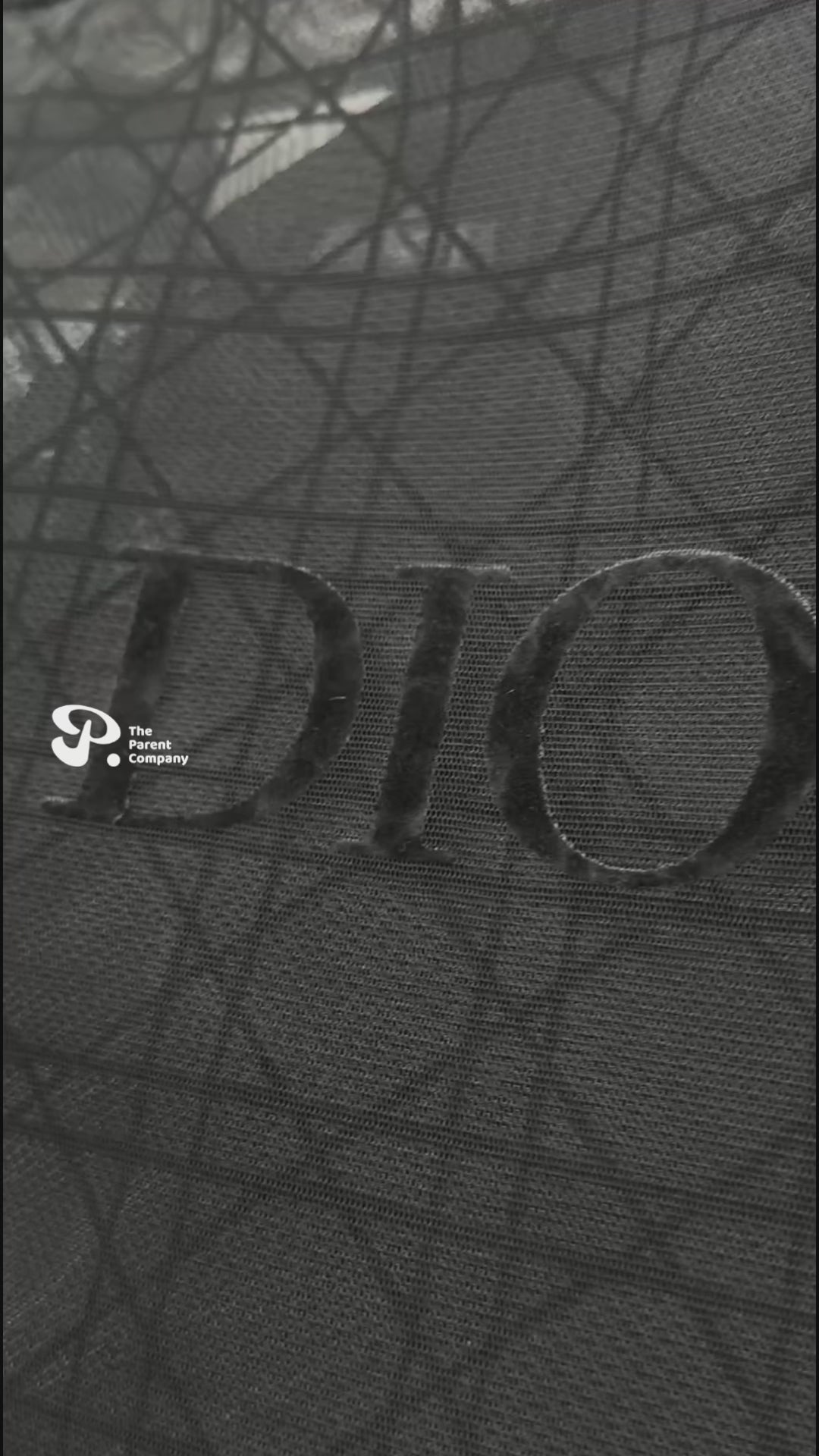 Load video: The Dior Luxe Mesh Collection